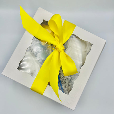 paint your own bath bomb set
