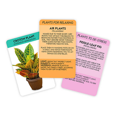 positive plants cards