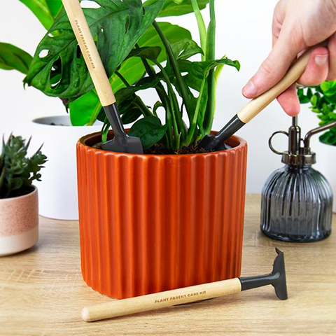 plant parent care kit