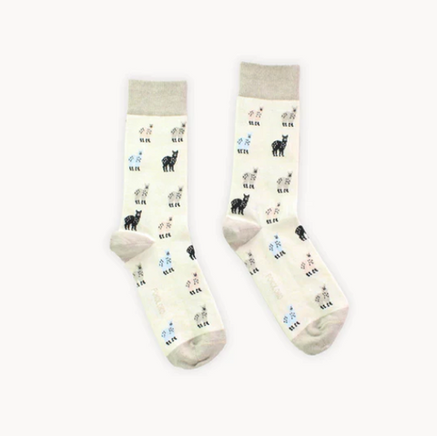 pima socks