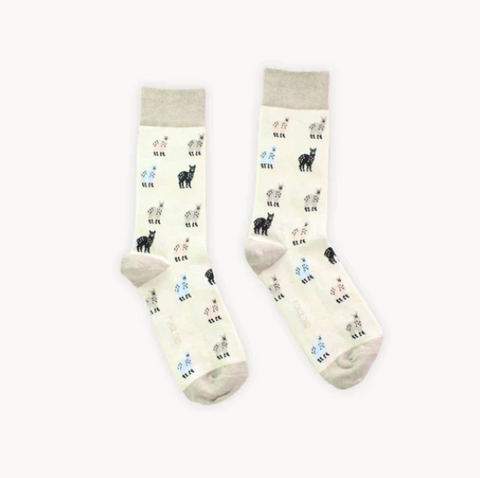 pokoloko: pima socks